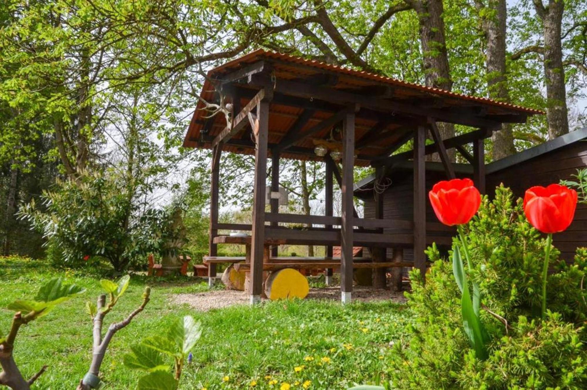 Pensjonat Zum Ritter - A Cozy Historical Landmark 3*